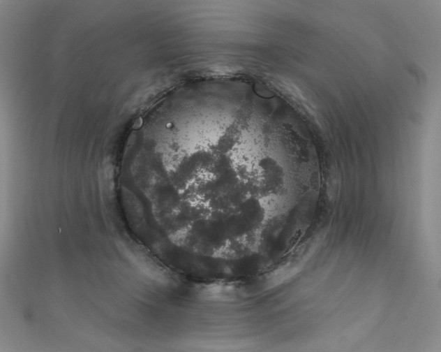 X0000111830366200907231321