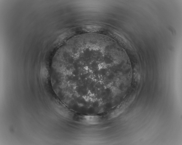 X0000111830371200907231321