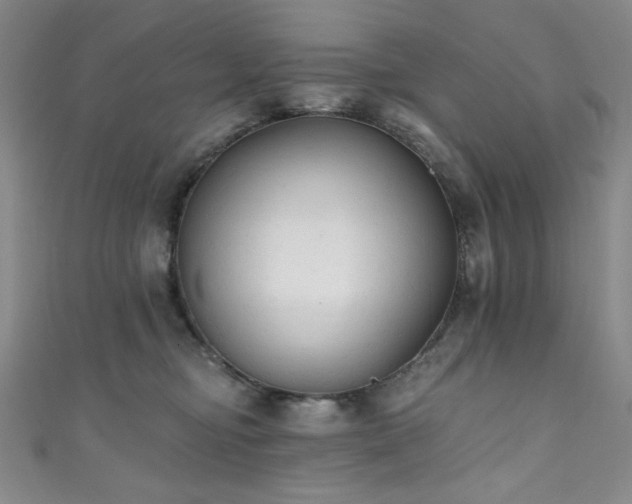 X0000111830374200907231321