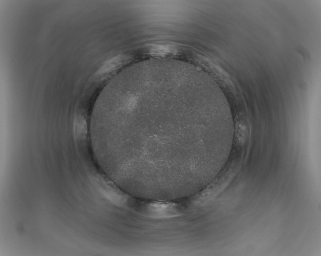 X0000111830375200907231321