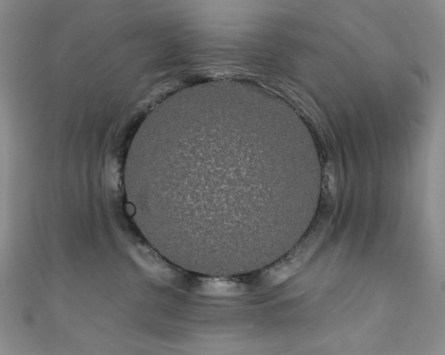 X0000111830380200907231322