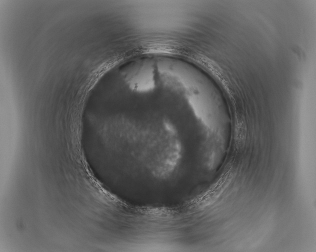 X0000111830385200907231321