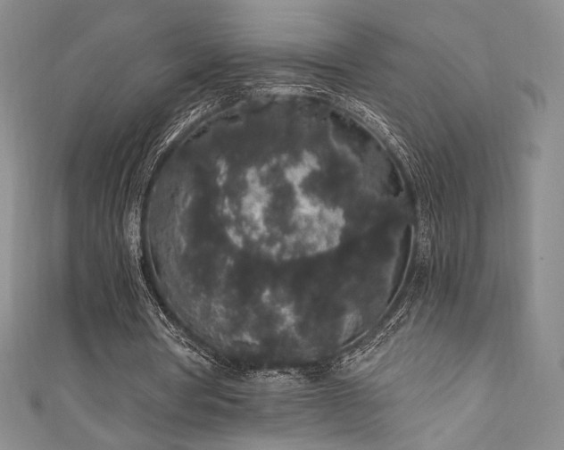 X0000111830386200907231321