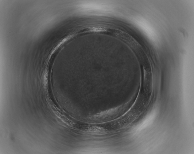 X0000111830387200907231321