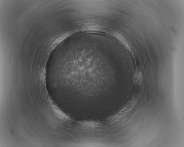 X0000111830389200907231321
