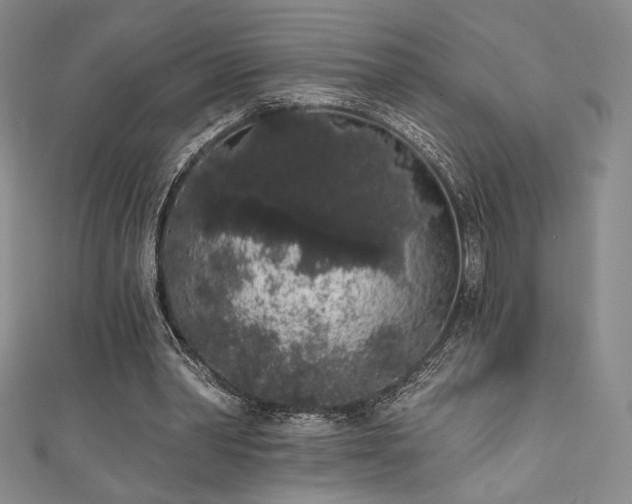 X0000111830390200907231321