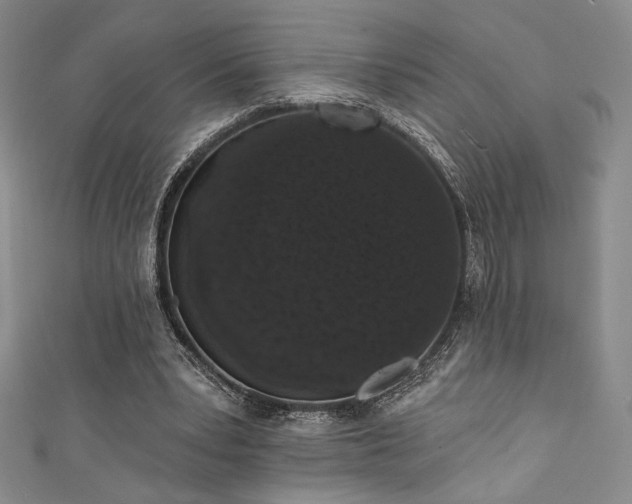 X0000111830391200907231321