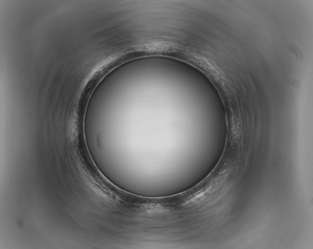 X0000111830392200907231321