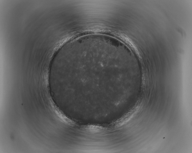 X0000111830393200907231321