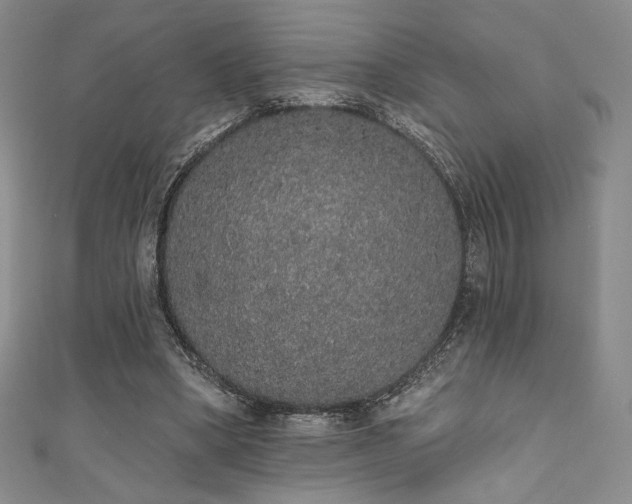 X0000111830394200907231321