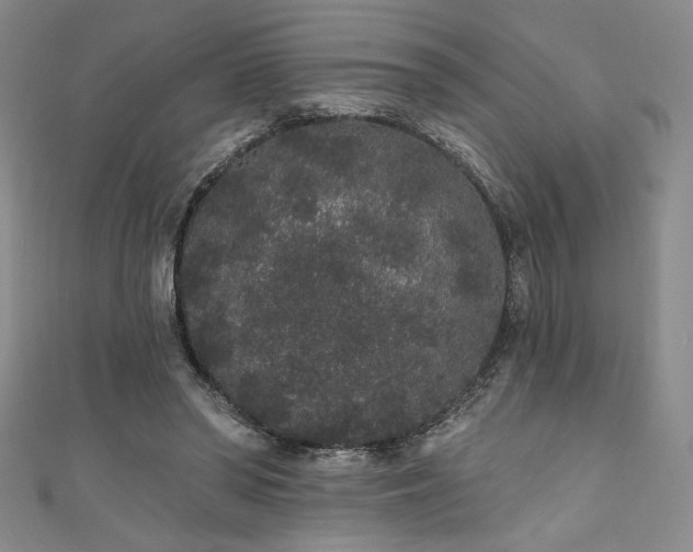 X0000111830398200907231321