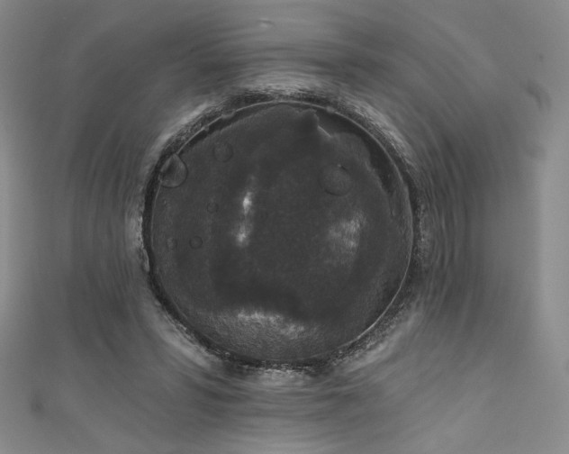 X0000111830399200907231321