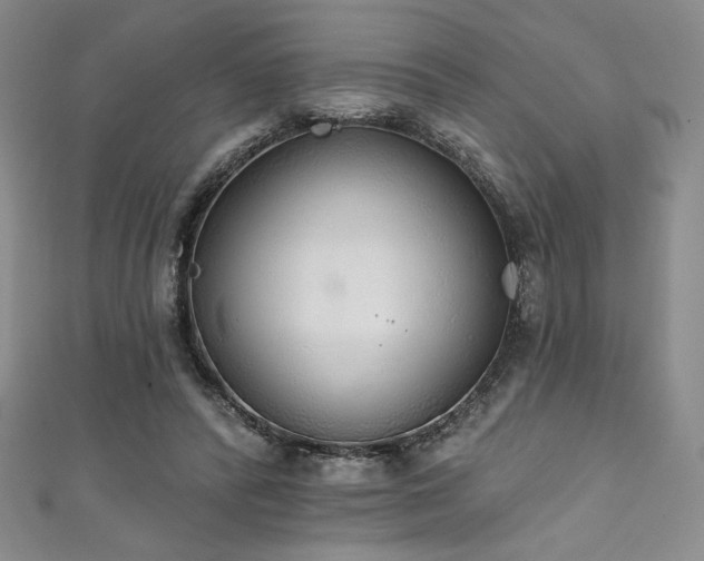 X0000111830400200907231321