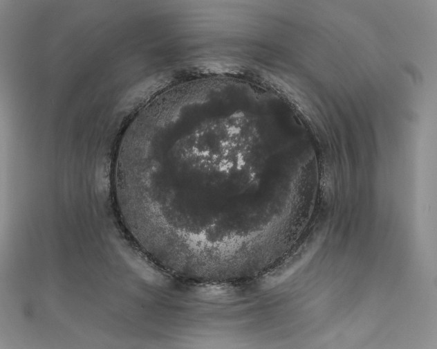 X0000111830402200907231321