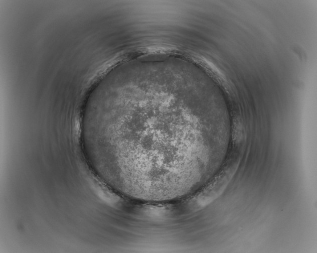 X0000111830405200907231321