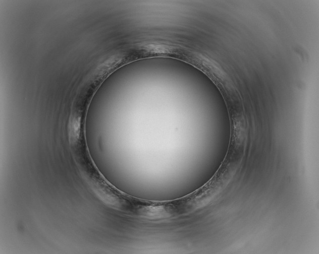 X0000111830406200907231321