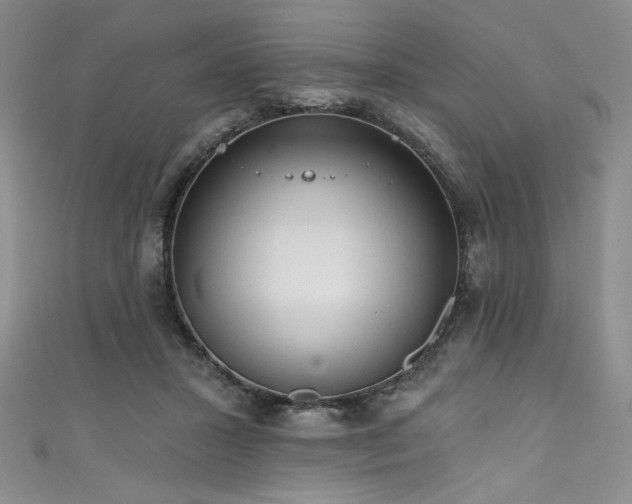 X0000111830407200907231321