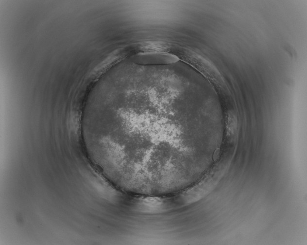 X0000111830409200907231321