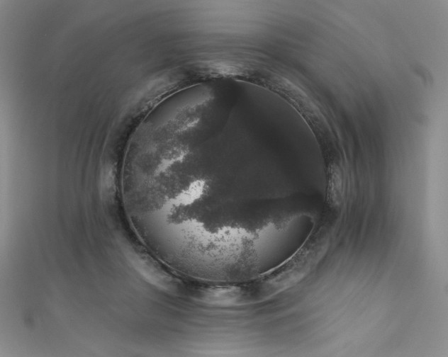 X0000111830410200907231321