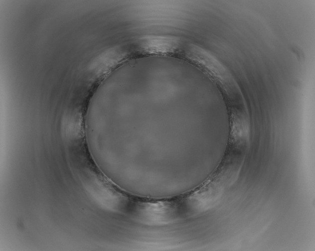 X0000111830411200907231321