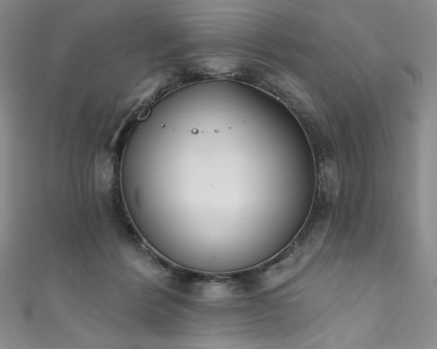 X0000111830412200907231321