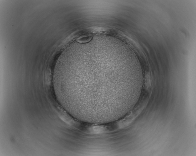 X0000111830413200907231321