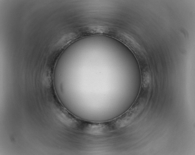 X0000111830414200907231321