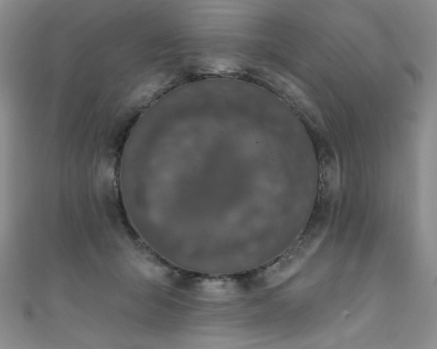 X0000111830415200907231321