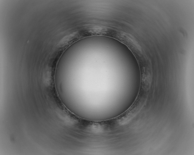X0000111830416200907231321