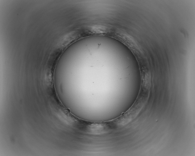 X0000111830418200907231321
