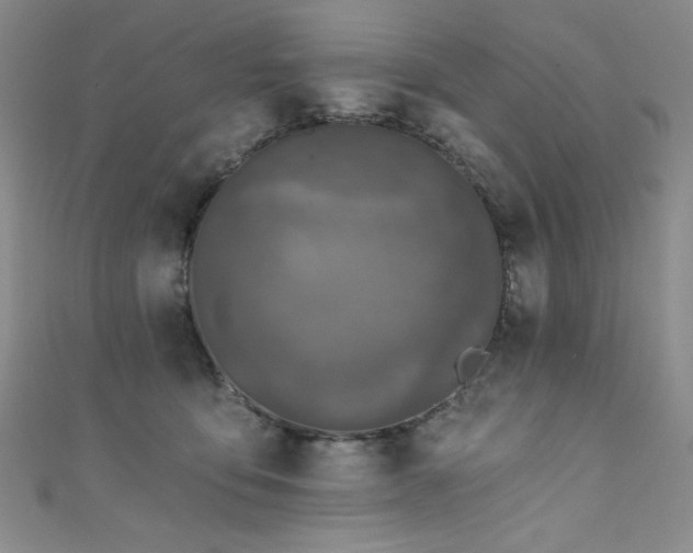 X0000111830419200907231321