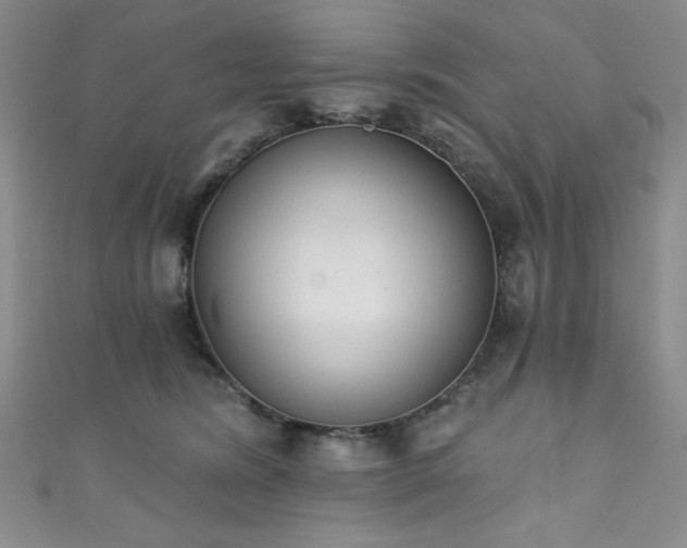 X0000111830420200907231321