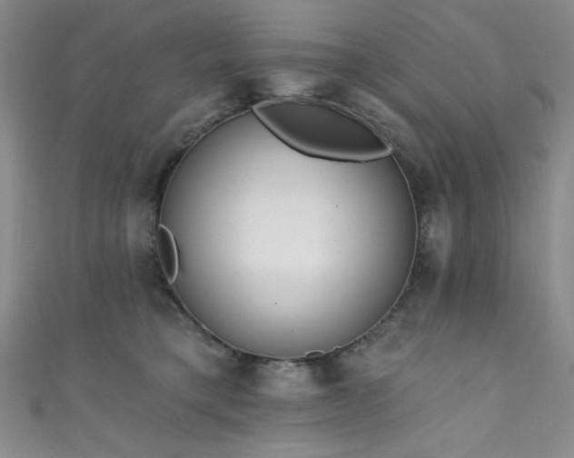 X0000111830421200907231321