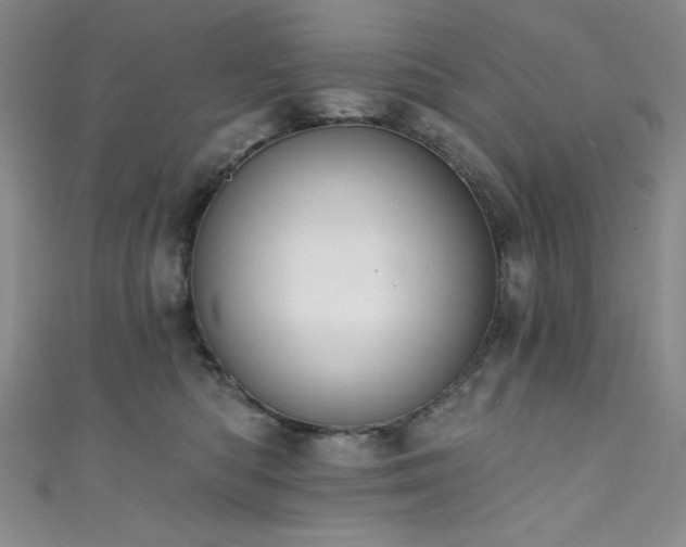 X0000111830422200907231320
