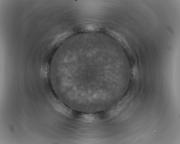 X0000111830423200907231320