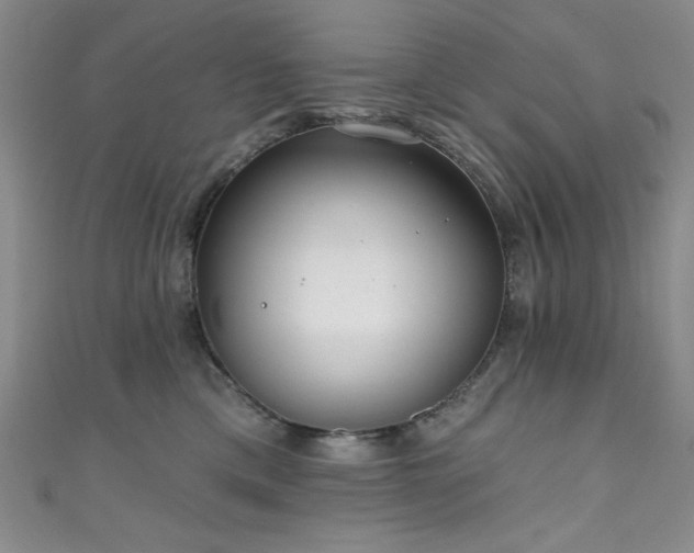 X0000111830425200907231320