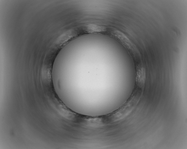 X0000111830426200907231320