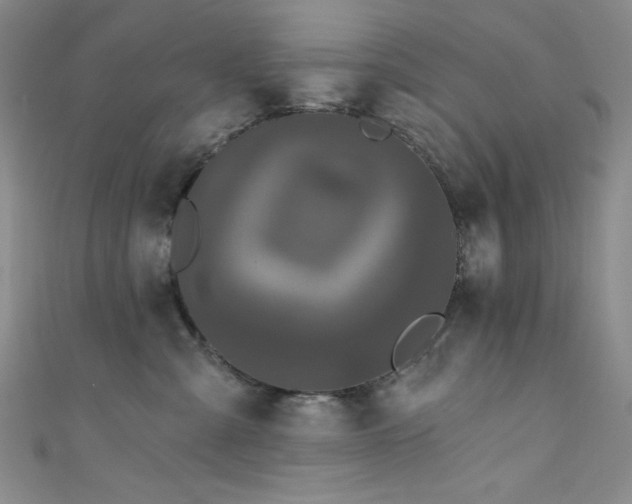 X0000111830427200907231320