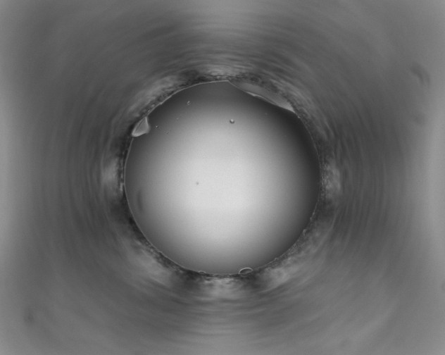 X0000111830428200907231320