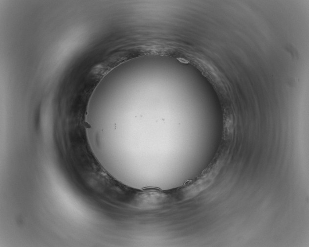 X0000111830429200907231320