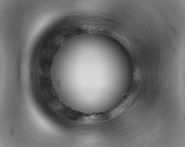 X0000111830430200907231320