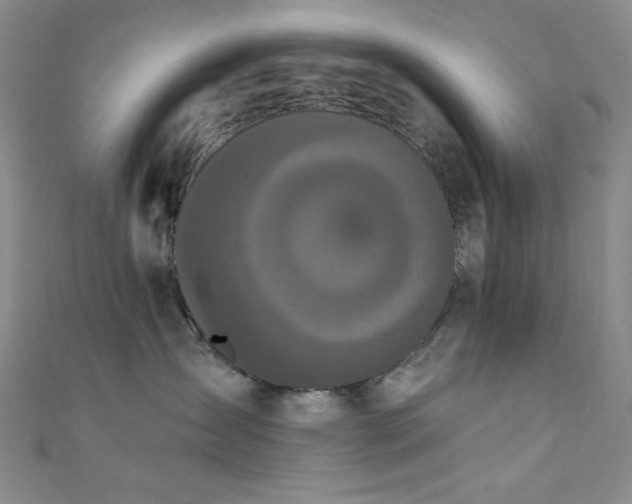 X0000111830431200907231320