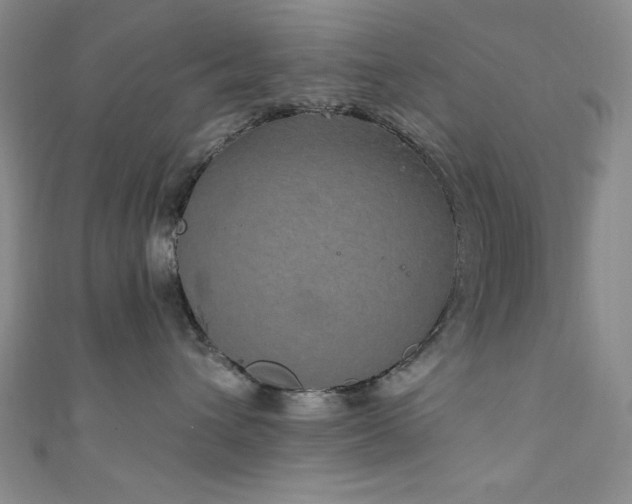 X0000111830432200907231320