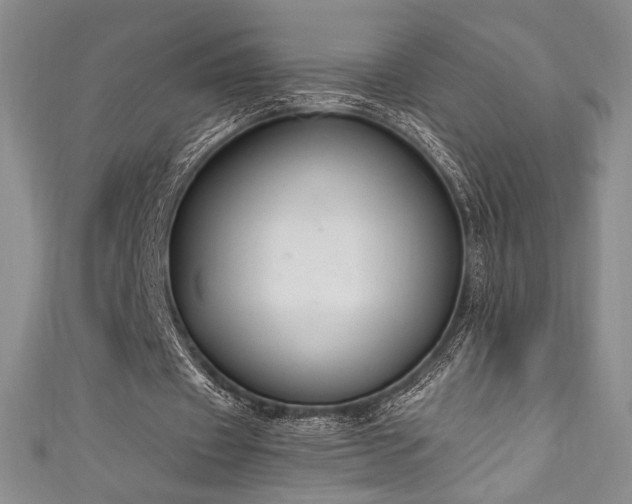 X0000111830433200907231320