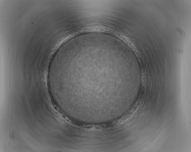 X0000111830434200907231320