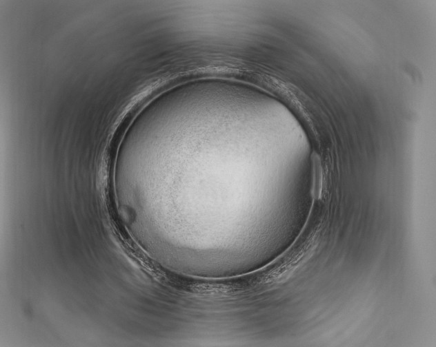 X0000111830435200907231320