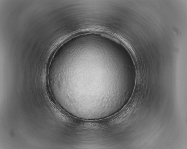 X0000111830437200907231320