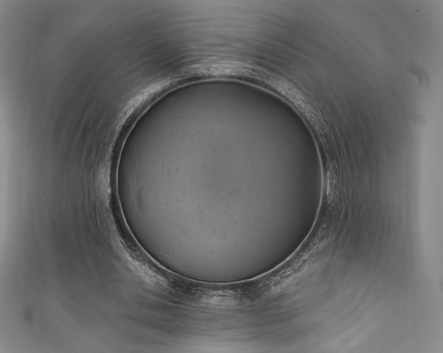 X0000111830438200907231320