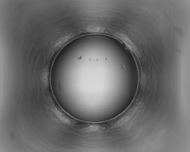 X0000111830441200907231320