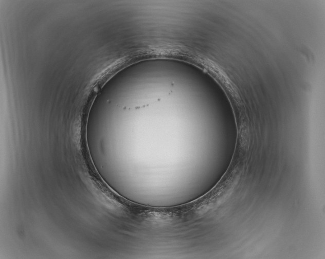 X0000111830442200907231320